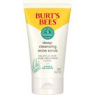 Esfoliante facial Burt's Bees Clear and Balanced com ácido salicílico
