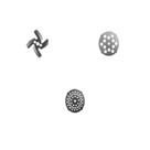 Esfregao Spin Mop Extra Clean 14l - 364508 - Kala