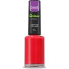 Esmalte Cremoso 5cinco 10ml - Cores Intensas e Cobertura Perfeita Esmalte Cremoso 5cinco 10ml - Cores Intensas e Cobertura Perfeita