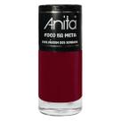 Esmalte Foco na Meta 1151 Viagem dos Sonhos 10ml - Anita