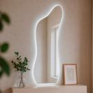 Espelho de Parede Orgânico Curves com Led Frio Corpo Inteiro 150x50cm Banheiro Sala Quarto