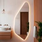 Espelho Decorativo Orgânico Led 170x70 Suporte de Parede Rocco Para Sala Quarto Banheiro Escritório