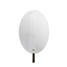 Espelho Funcional Hook Branco Alça Rajado 60x40 Cm Oval