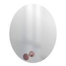 Espelho Funcional Hook Rosa 50 Cm Redondo Espelho Funcional Hook Rosa 50 Cm Redondo