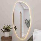 Espelho Orgânico Prata Pietro Led 60x116 cm Cerentini