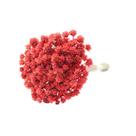 Espeta Nariz Desidratado - Vermelho