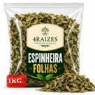 Espinheira Folhas Secas 1kg Chá Natural Produto Selecionado