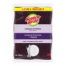 Esponja 3m scotch brite extrema l4p3