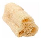 Esponja Bucha Vegetal Natural Limpeza Profunda Esfoliaçao slim