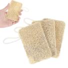 Esponja de Luffa Elegaperma 3 Unidades Natural para Limpeza Esponja de Luffa Elegaperma 3 Unidades Natural para Limpeza