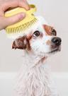 Esponja de silicone com dispenser para Shampoo- Cães e Gatos