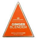 Esponja Pirâmide - Ginger Blender Mari Maria Makeup