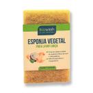 Esponja Vegetal Para Lavar Louça Biodegradável
