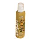 Espuma De Gengibre Para Drinks Begin - 200g - BeGin Spices