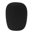 Espuma Windscreen e Filtro Anti Pop para Microfone SKP WM2