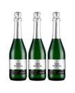Espumante Moscatel San Martin 660ml Kit 3 unidades