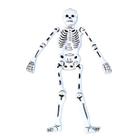 Esqueleto Articulado Halloween Assustador