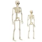 Esqueleto Caveira Halloween Dia das Bruxas Festa Tematica Ossos Corpo Humano Enfeite Decoraçao Terror Porta Entrada