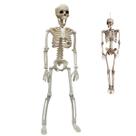 Esqueleto Caveira Halloween Dia das Bruxas Festa Tematica Ossos Corpo Humano Pendura Porta Janela Enfeite Decoraçao
