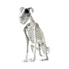 Esqueleto De Cão De Halloween De 44cm, Ossos Articulados, Decorações De Terror, Adereços Para Casa