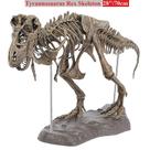 Esqueleto de dinossauro modelo Tyrannosaurus Rex 70cm PVC Esqueleto de dinossauro modelo Tyrannosaurus Rex 70cm PVC