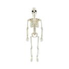 Esqueleto De Halloween Em Tamanho Real Com Ossos Móveis De 40/90cm, Acessórios De Horror Para Esqueleto De Halloween Em Tamanho Real Com Ossos Móveis De 40/90cm, Acessórios De Horror Para
