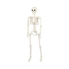 Esqueleto De Halloween Em Tamanho Real Com Ossos Móveis De 40/90cm Para Decoração De Casa, Bar, Casa Esqueleto De Halloween Em Tamanho Real Com Ossos Móveis De 40/90cm Para Decoração De Casa, Bar, Casa