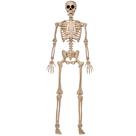 Esqueleto de Halloween JOYIN 152 cm em tamanho real com juntas móveis