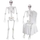 Esqueleto de Halloween LaLaMona 165 cm em tamanho real com juntas móveis