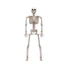 Esqueleto De Plástico Pequeno Com Articulações Móveis Para Pendurar No Halloween, Decoração Para