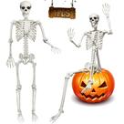 Esqueleto em tamanho real UMEELR 1,8 m com juntas móveis Halloween Esqueleto em tamanho real UMEELR 1,8 m com juntas móveis Halloween