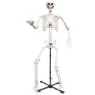 Esqueleto Gigante Wocst 240 cm Tamanho Real com Suporte Metálico Esqueleto Gigante Wocst 240 cm Tamanho Real com Suporte Metálico
