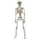 Esqueleto Halloween Dia das Bruxas Festa Tematica Caveira Corpo Humano Ossos Decoraçao Enfeite Diversao