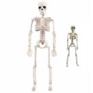 Esqueleto Halloween Dia das Bruxas Festa Tematica Ossos Corpo Humano Caveira Decoraçao Porta Janela Enfeite Terror