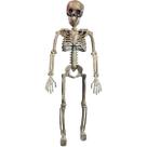 Esqueleto Halloween Super Realista Articulada Faz Muitas Posições Esqueleto Halloween Super Realista Articulada Faz Muitas Posições