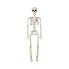 Esqueleto Humano Articulado De 40cm Para Halloween, Decorações De Terror Para Halloween, Adereços Esqueleto Humano Articulado De 40cm Para Halloween, Decorações De Terror Para Halloween, Adereços
