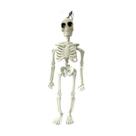 Esqueleto Humano Halloween Caveira C/ Alça Decoração