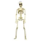 Esqueleto Plástico Decorativo 40cm Playfun CV255286