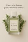 Essência Alecrim 100ml