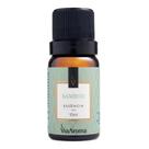 Essência Aromática 10ml Via Aroma Pronta Entrega BAMBOO Essência Aromática 10ml Via Aroma Pronta Entrega BAMBOO
