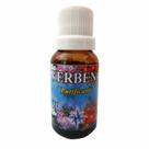 Essência Aromática 15ml - Verbena: Purificante