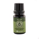 Essência Aromática Alecrim 10mL - Kailash Essência Aromática Alecrim 10mL - Kailash