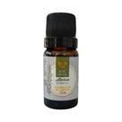 Essência Aromática Alecrim 10ml Love Aromas para Difusor Elétrico Essência Aromática Alecrim 10ml Love Aromas para Difusor Elétrico