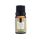 Essência Aromática Alecrim Silvestre 10 ml