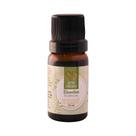 Essência Aromática Bamboo 10ml Love Aromas para Difusor Elétrico Essência Aromática Bamboo 10ml Love Aromas para Difusor Elétrico