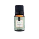 Essência Aromática Bamboo 10ml para Aromatizador e Difusor - Via Aroma Essência Aromática Bamboo 10ml para Aromatizador e Difusor - Via Aroma