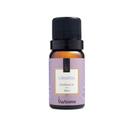 Essência Aromática Lavanda 10 ml