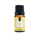 Essência Aromática Limão Siciliano 10 ml Essência Aromática Limão Siciliano 10 ml