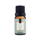 Essência Aromática Via Aroma 10ml Fragrâncias Lavanda, Lavanda Francesa, Alecrim, Bamboo, Breeze, Capim Limão e Eucalipto e Hortelã