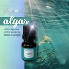 Essência Aromatizante 15ml Algas Para Difusor